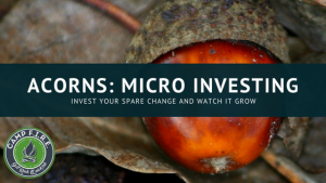 acorns review is it safe