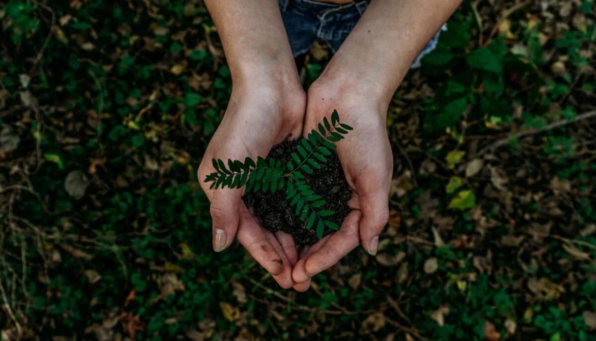 Socially responsible investing