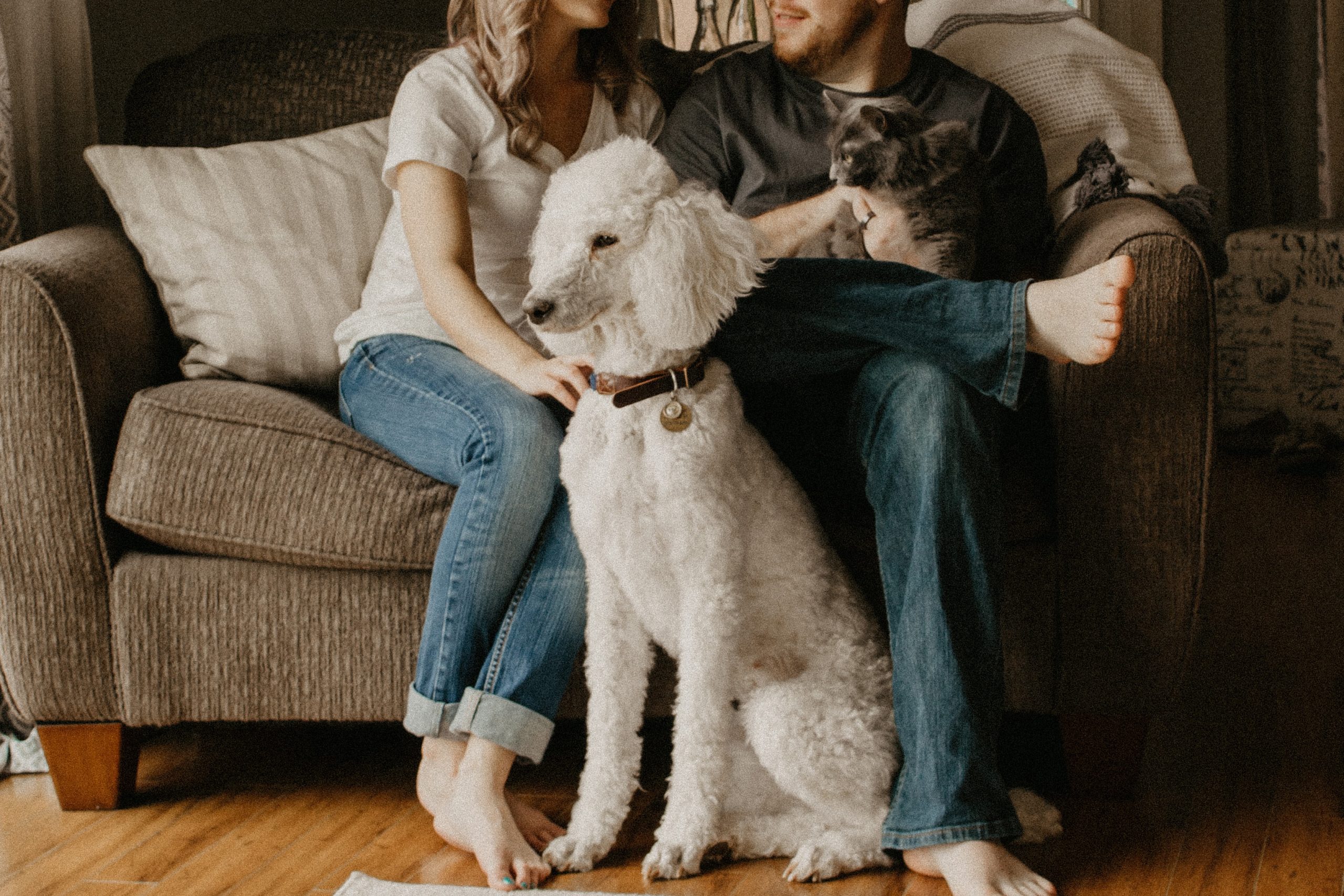 Personal Finance Tips for Animal Lovers